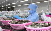 Xuất khẩu dưới 160 triệu sang EU, Thụy Sỹ, doanh nghiệp được tự chứng nhận xuất xứ