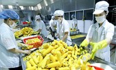 Hàng loạt doanh nghiệp Việt bị chơi xấu ở Algeria