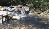 NÓNG: Khởi tố vụ án đổ dầu thải gây sự cố nước sạch sông Đà