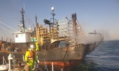 Bản tin 8H: Cháy tàu cá ở Hàn Quốc, một người Việt thiệt mạng