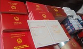 Bản tin 8H: Dùng bằng giả, một trưởng phòng bị cho thôi việc
