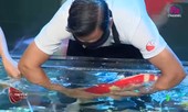 Bất ngờ màn trình diễn hơn 8 tỷ đồng của ‘vua cá koi’ ở 'Siêu trí tuệ Việt Nam'