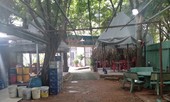 TAND cấp cao tại TPHCM xem xét vụ tranh chấp đất khiến đương sự định nhảy lầu
