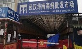 Phát hiện lượng lớn virus corona ở chợ hải sản Vũ Hán
