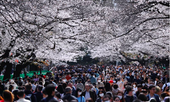 Tokyo trước nguy cơ rơi vào kịch bản của New York