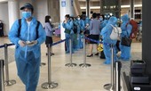 340 người Việt ở Nhật được đưa về nước