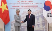 Khách nước ngoài đầu tiên thăm chính thức Việt Nam từ khi COVID-19 bùng phát