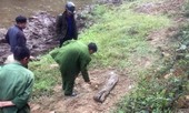 Lộ danh tính cô gái nghi bị sát hại, vùi xác ven suối