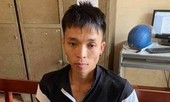 Bắt đối tượng cướp tài sản, châm rơm đốt bà cụ