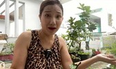 MC Cát Tường bức xúc khi anti-fan nói con gái cô làm nghề nhạy cảm tại Úc