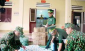 Thu giữ trên 13.000 khẩu trang nhập lậu từ Trung Quốc