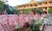 Một điểm thi tốt nghiệp THPT ở Lạng Sơn phải lùi thời gian vì COVID-19