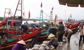 Cảng cá Lạch Vạn đông đúc, người dân thờ ơ với khẩu trang giữa đại dịch