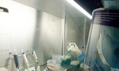 Kết quả xét nghiệm hơn 18 nghìn trường hợp về từ vùng dịch ở Nghệ An