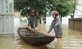 Nước sông Lam dâng cao, Nghệ An ngập lụt trên diện rộng