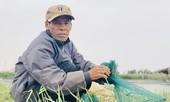Tôm, cá bị lũ cuốn sạch, người nuôi Hà Tĩnh lâm cảnh trắng tay