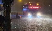 Mưa to không ngớt, người dân Nghệ An trắng đêm dọn đồ chạy lũ