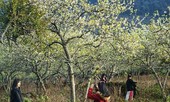 Tìm sản phẩm độc đáo, kích cầu vùng Tây Bắc hậu COVID-19