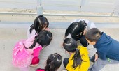 Nghỉ học cả tháng, mầm non Tsubaki vẫn thu 50% học phí