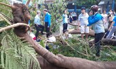 Học sinh tử vong do cây đổ, điện giật: Trách nhiệm thuộc về ai?