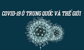 Dịch COVID - 19 khiến gần 70.000 người trên khắp thế giới tử vong
