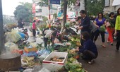 Hà Nội: Giá thịt lợn, thịt gà tăng kỷ lục, người dân chen nhau mua 30 Tết