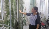 Hà Nội: Rà soát toàn bộ trụ cổng trường đảm bảo an toàn cho học sinh
