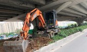 Thảm cỏ, dải phân cách đường Vành đai 3 bất ngờ bị cạo trọc xới tung