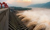 Vì sao Trung Quốc phải thả 10.000 con cá sau khi xây xong đập Tam Hiệp
