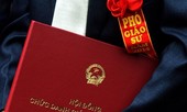 Hàng loạt ứng viên GS, PGS bị tố cáo: Hội đồng ngành Dược, Y báo cáo thế nào?