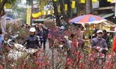 Hà Nội và Bắc Bộ có mưa đêm giao thừa, đón Tết trong rét đậm