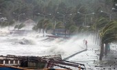 Bão số 9 có thể gây gió giật mạnh kỷ lục trong 20 năm, sức tàn phá khủng khiếp