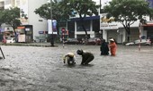Thủy điện xả lũ, Quảng Nam - Đà Nẵng có thể chìm trong biển nước