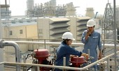 Kiểm toán phát hiện hàng loạt vụ đấu thầu sai phạm
