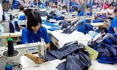 Sau 25 năm, thương mại Việt – Mỹ tăng gần 170%
