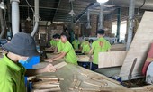 Vụ doanh nghiệp gỗ kêu cứu 3 bộ: Bộ Tài chính lập đoàn kiểm tra