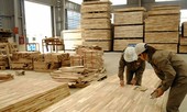 Vụ doanh nghiệp gỗ kêu cứu: Tạm cho xuất khẩu thuế suất 0%
