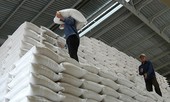 Tổng cục Dự trữ nói gì trước thông tin mua 'hụt' chỉ tiêu gạo?