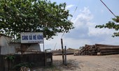 Thanh tra TPHCM kiến nghị xử lý tình trạng 'xẻ thịt' đất công viên
