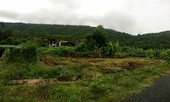 Công an vào cuộc việc ‘trùng khớp’ trong đấu giá khu đất 80.000m2 ở Côn Đảo