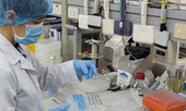 Hà Nội: Xét nghiệm RT- PCR người về từ Đà Nẵng xong trước 12/8