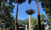 Sài Gòn “đẹp dịu dàng” sáng mùng 1 tết