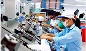 Hội Doanh nhân Trẻ Việt Nam gởi kiến nghị lên Thủ tướng vì 'trên nóng dưới lạnh'