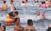 Đi tắm biển bị sứa 'cắn' nhập viện