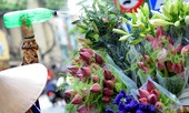 Hương sen toả ngát phố phường Hà Nội