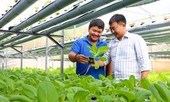 Ươm mầm những ý tưởng “Khởi nghiệp Nông nghiệp” trong thời đại 4.0