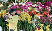 Muôn hoa khoe sắc rực rỡ tại Hội hoa xuân Đà Lạt