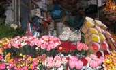Giá hoa hồng Đà Lạt giảm sốc mùa Valentine