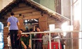 Học sinh lớp 4 chết trong tư thế treo cổ trong vườn nhà