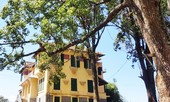Hàng chục kiến trúc sư phản ứng chuyện xây khách sạn ở Dinh tỉnh trưởng